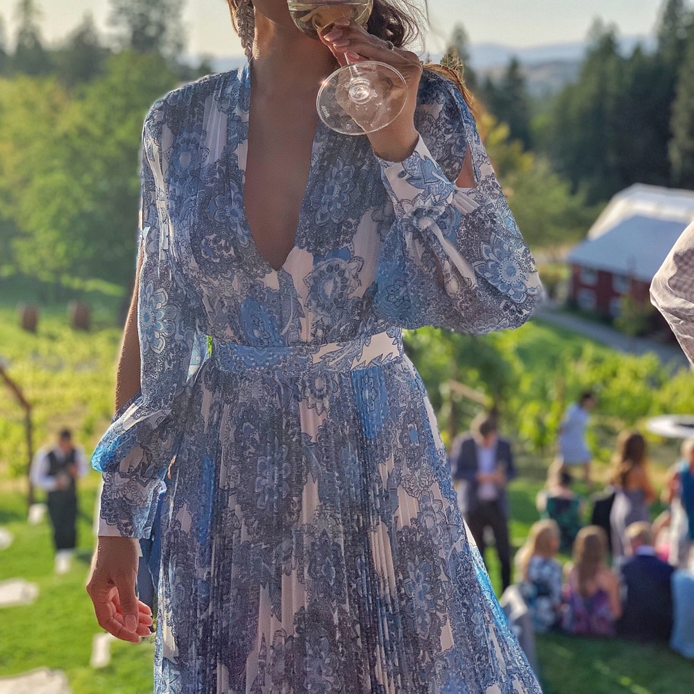 Alice + Olivia Blue and White Maxi Dress - Picture 2 of 9